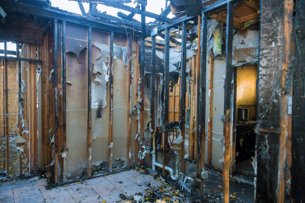 Professional Soot Cleanup technician working in New Knoxville, OH